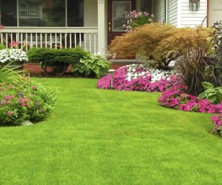 Top Notch Lawn and Maintenance