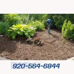 CG Services LLC