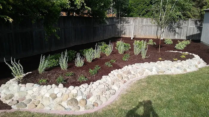 Professional Landscaping, LLC Picture 4