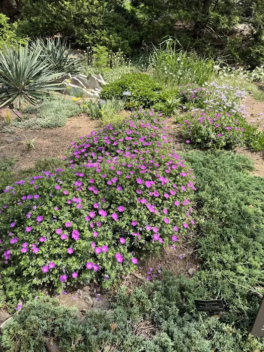 Landscaping Lawn Maintenance Plus Inc Picture 3