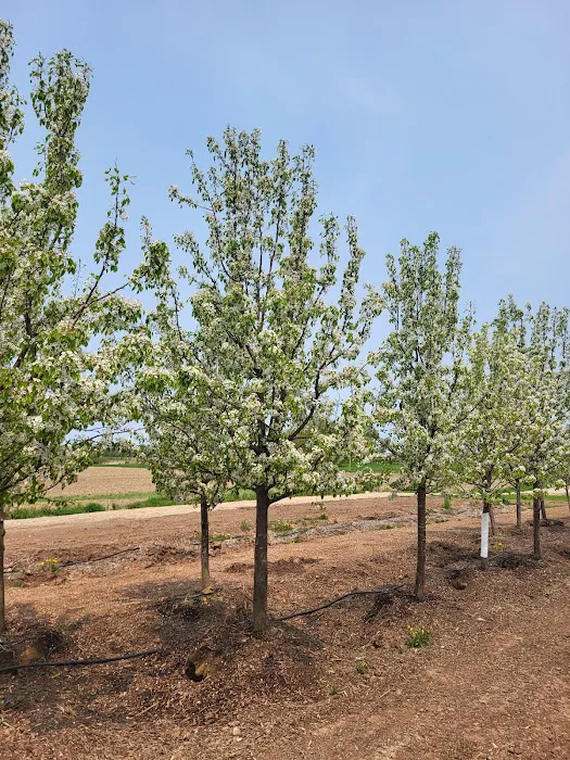 Turfsavers Tree Farm Picture 6