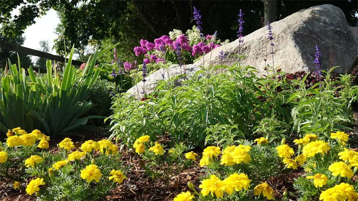 Serenity Farm Landscaping Inc. Picture 1