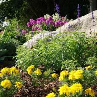 Serenity Farm Landscaping Inc. ico