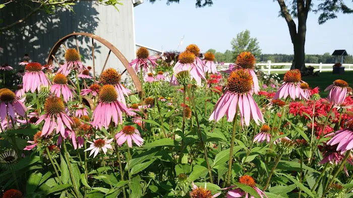 Serenity Farm Landscaping Inc. Picture 2