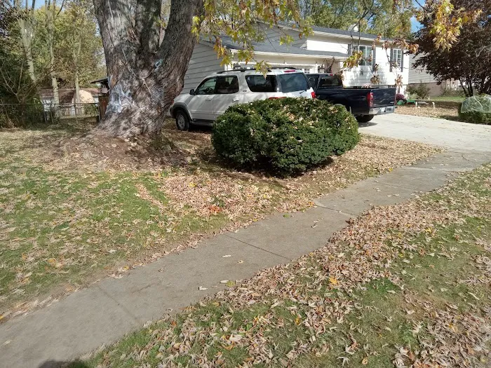 Cam's Services LLC Picture 6