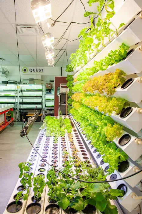 Maximum Grow Gardening Picture 4