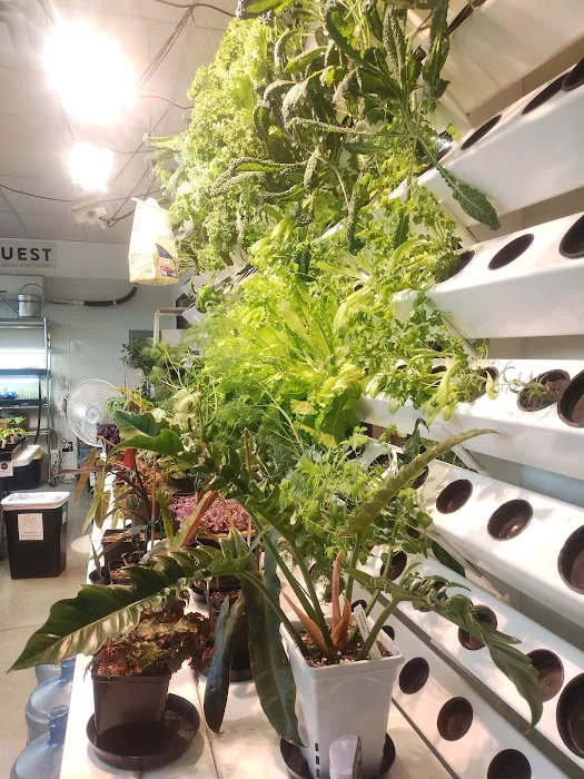 Maximum Grow Gardening Picture 10