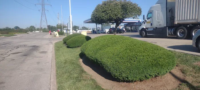 Pedraza Lawn and Landscaping llc Picture 1