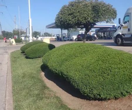 Pedraza Lawn and Landscaping llc