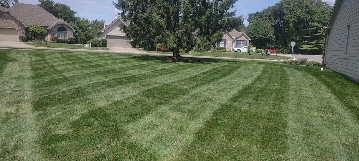 Pedraza Lawn and Landscaping llc Picture 3