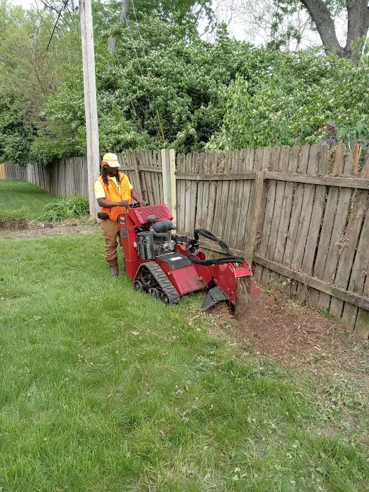 Dirt Cheap LLC Picture 1