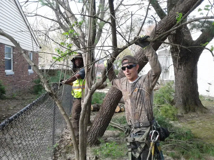 Dirt Cheap LLC Picture 10