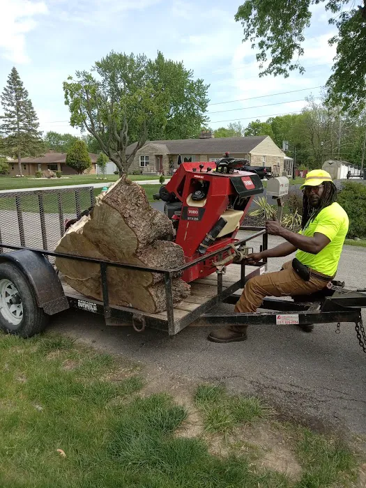 Dirt Cheap LLC Picture 3