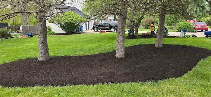 J.N.J Landscaping Company Picture 9