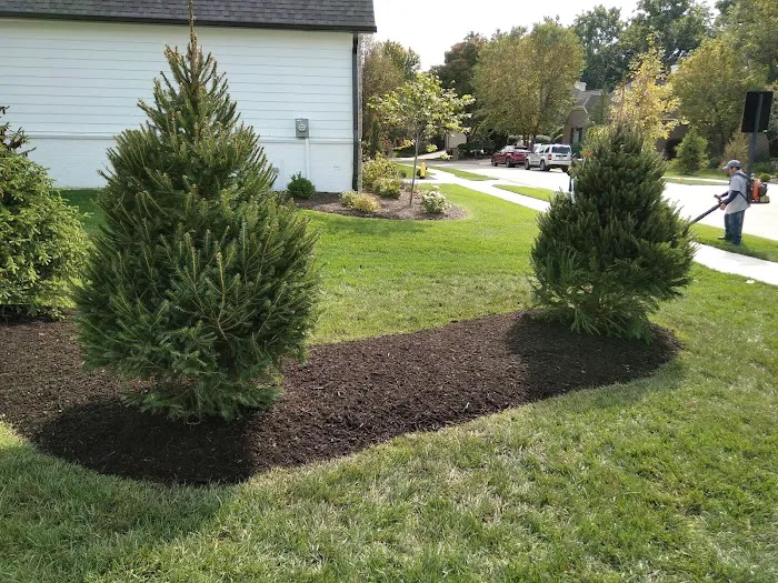 J.N.J Landscaping Company Picture 6