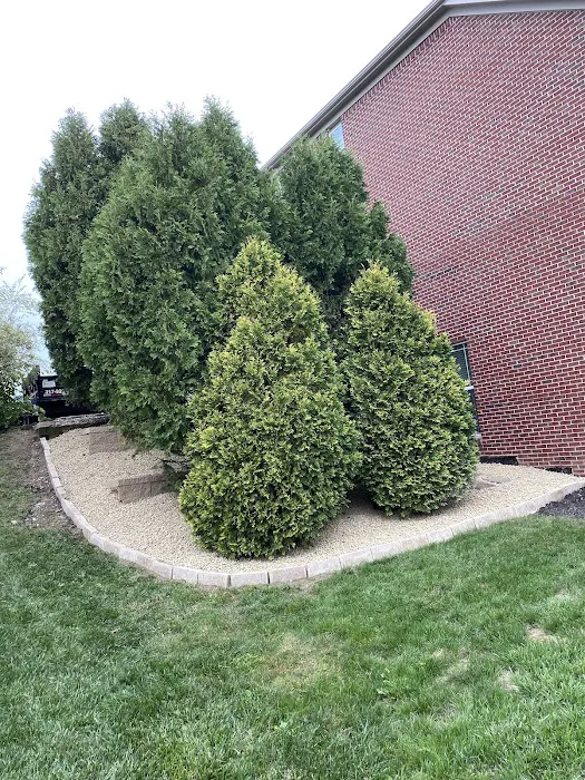 Indy pro landscape llc Picture 2