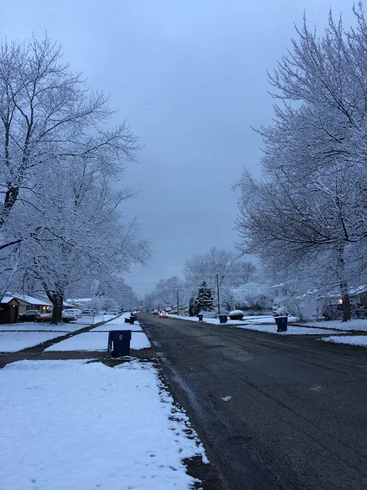 Indy pro landscape llc Picture 8