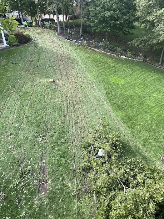 Indy pro landscape llc Picture 3