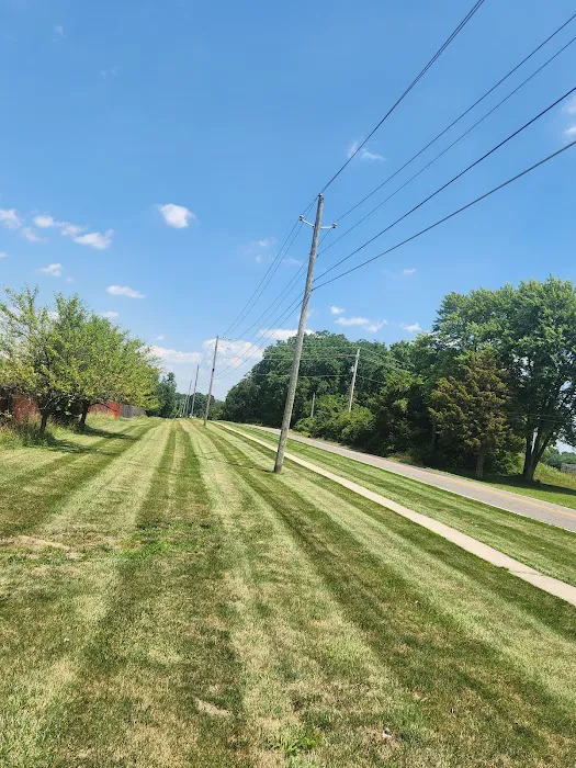 Big Boyz Lawn & Landscape LLC Picture 9