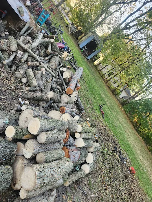 Big Boyz Lawn & Landscape LLC Picture 10