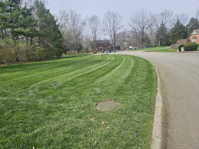 Green Forest Landscaping Picture 10