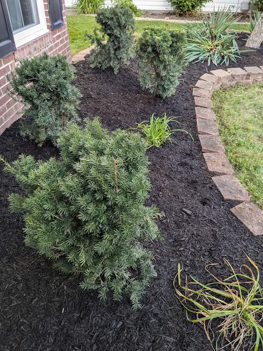 Harris And Son's Landscaping llc Picture 7
