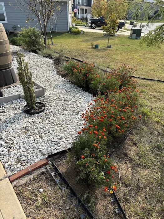 Harris And Son's Landscaping llc Picture 6