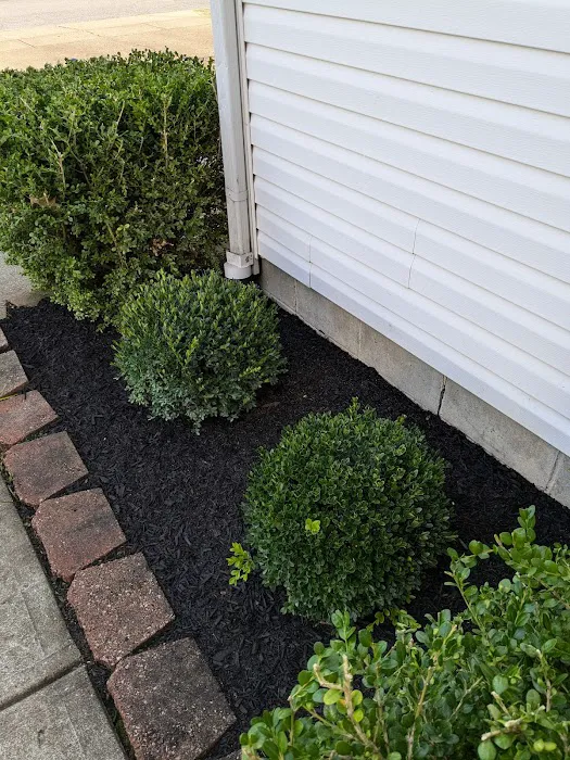 Harris And Son's Landscaping llc Picture 3