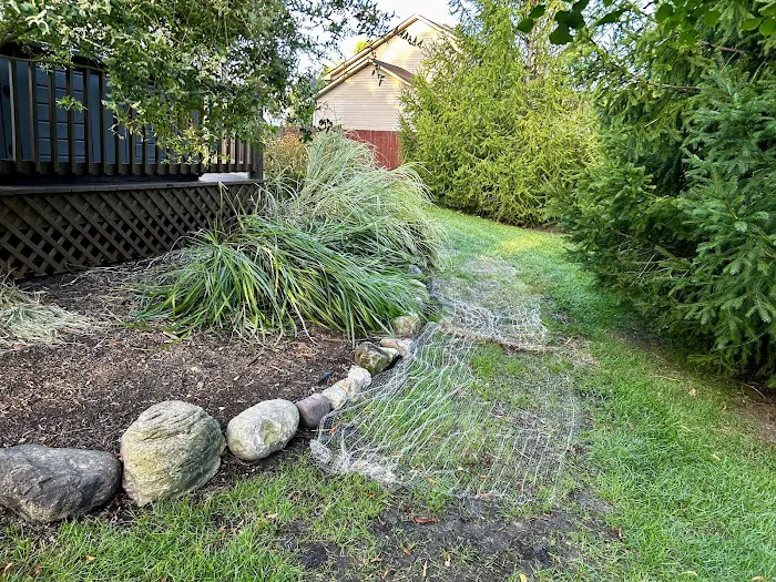 Harris And Son's Landscaping llc Picture 10