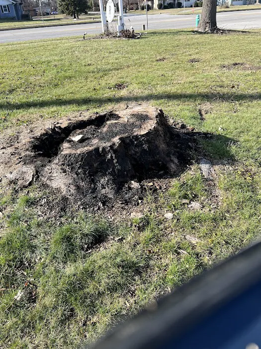 Harris And Son's Landscaping llc Picture 9