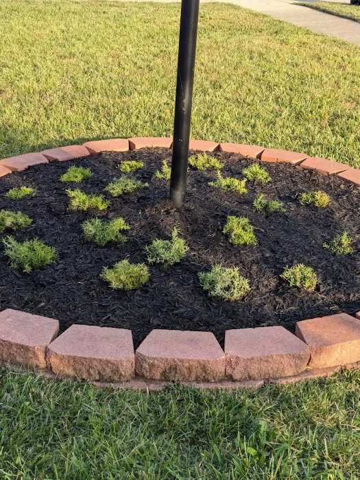 Harris And Son's Landscaping llc Picture 8