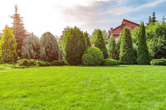 Green Acres Landscape & Design Inc Picture 1