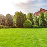 Green Acres Landscape & Design Inc