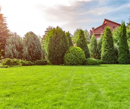 Green Acres Landscape & Design Inc