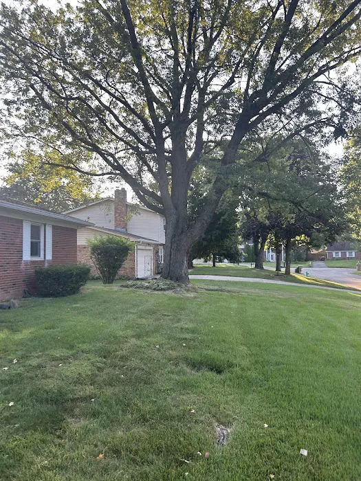 Stewarts Tree Service: Est 1980 Picture 6