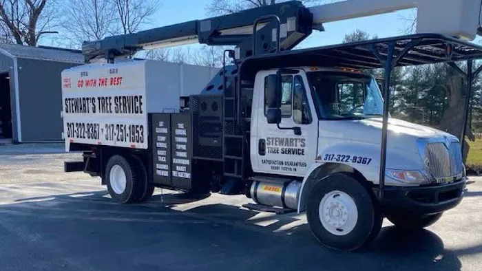 Stewarts Tree Service: Est 1980 Picture 5