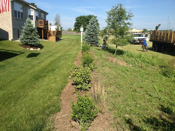 Stewarts Tree Service: Est 1980 Picture 1