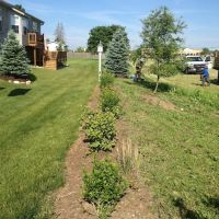 Stewarts Tree Service: Est 1980 ico