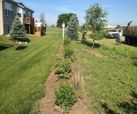 Stewarts Tree Service: Est 1980
