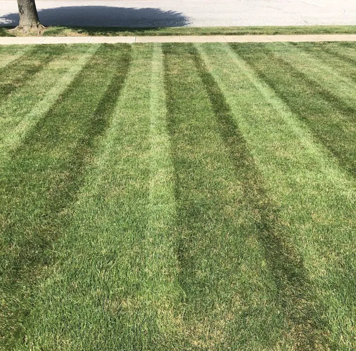 Lawns By Brad Picture 8