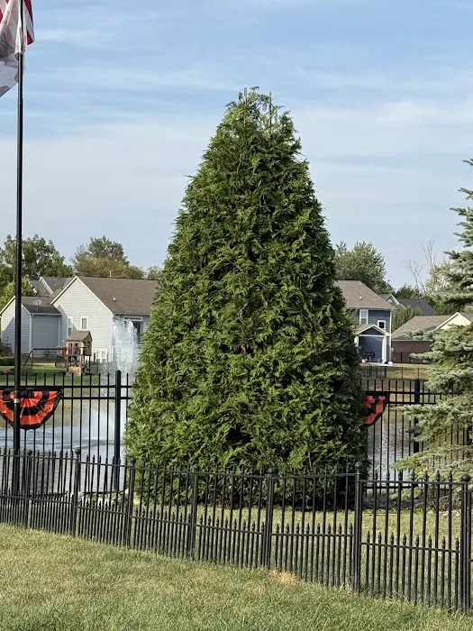 Lawns By Brad Picture 1