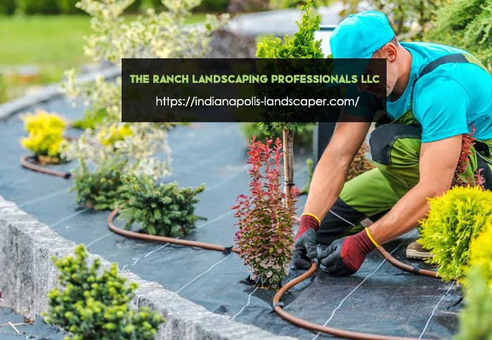The Ranch Landscaping Professionals LLC Picture 6