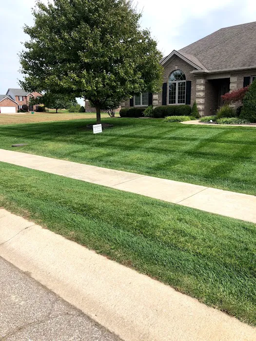 Blackwood lawn & landscape Picture 7
