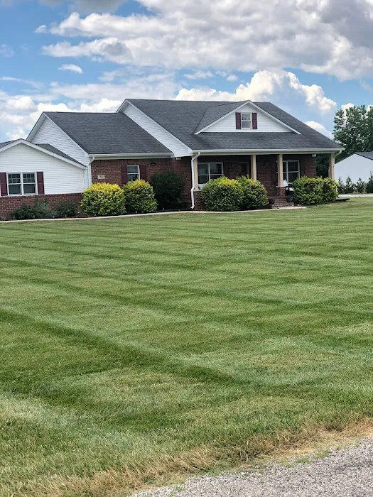 Blackwood lawn & landscape Picture 9