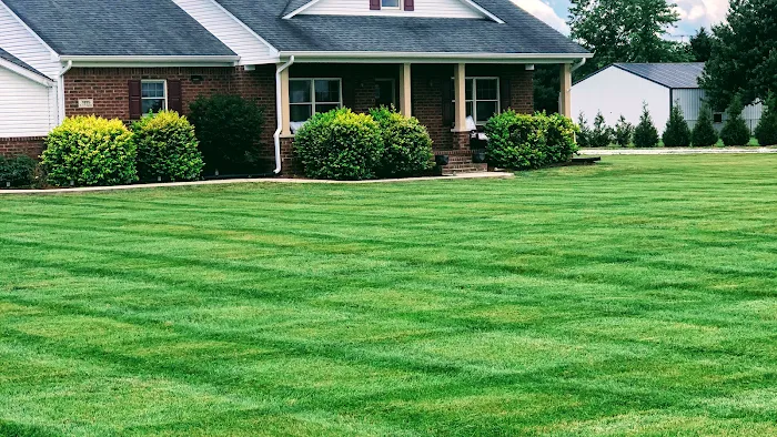 Blackwood lawn & landscape Picture 5