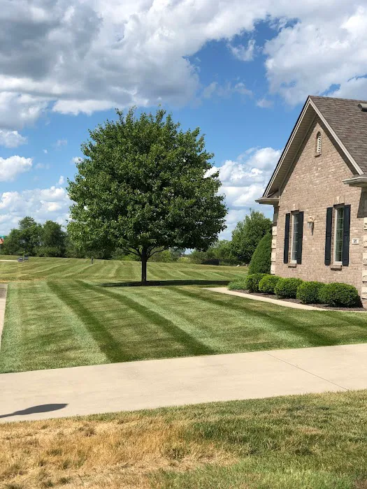 Blackwood lawn & landscape Picture 1