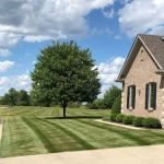 Blackwood lawn & landscape