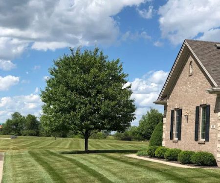 Blackwood lawn & landscape