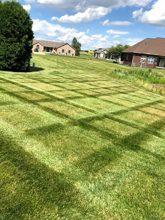 Blackwood lawn & landscape Picture 10