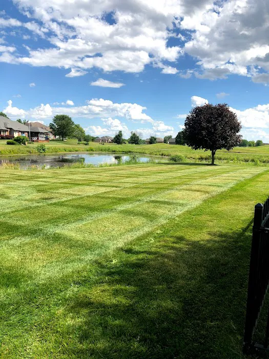 Blackwood lawn & landscape Picture 3